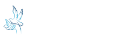 aond_logo_01